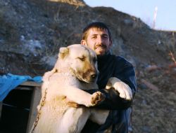 Çoban köpeklerinin nesli koruma altında